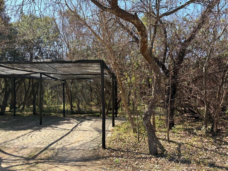 An outdoor paved patio area featuring a metal-framed shade cloth structure, situated within a wooded garden setting.