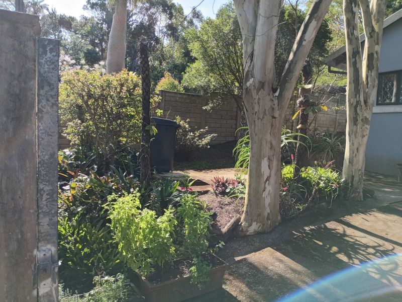 A lush, established garden area featuring mature trees, landscaped planting beds, and a concrete boundary wall, providing a private outdoor setting.