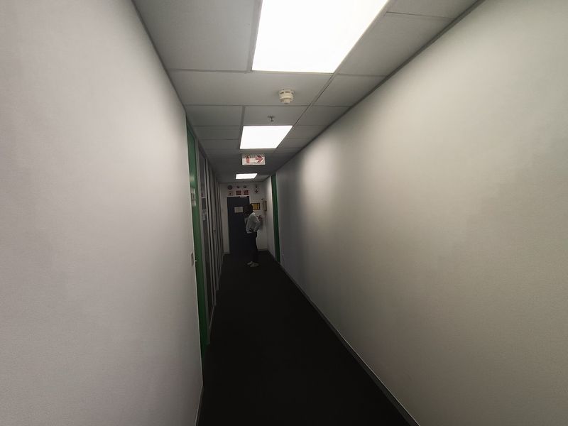 A functional office hallway featuring a suspended ceiling with recessed lighting, carpeted flooring, and clear fire safety signage.