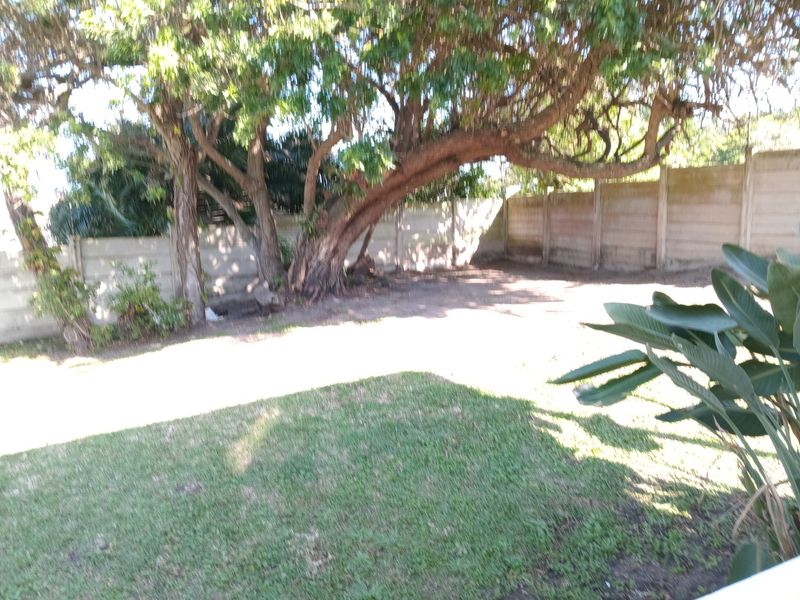 A private backyard garden featuring a lawn, mature trees, and a precast concrete boundary wall.