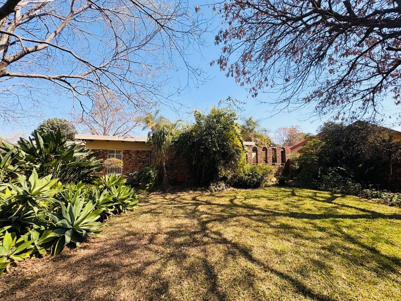A private rear garden featuring established landscaping, mature trees, and a distinctive arched brick boundary wall.