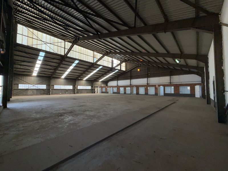 Spacious industrial warehouse featuring a high-clearance steel portal frame, concrete flooring, and translucent roof panels providing ample natural light.