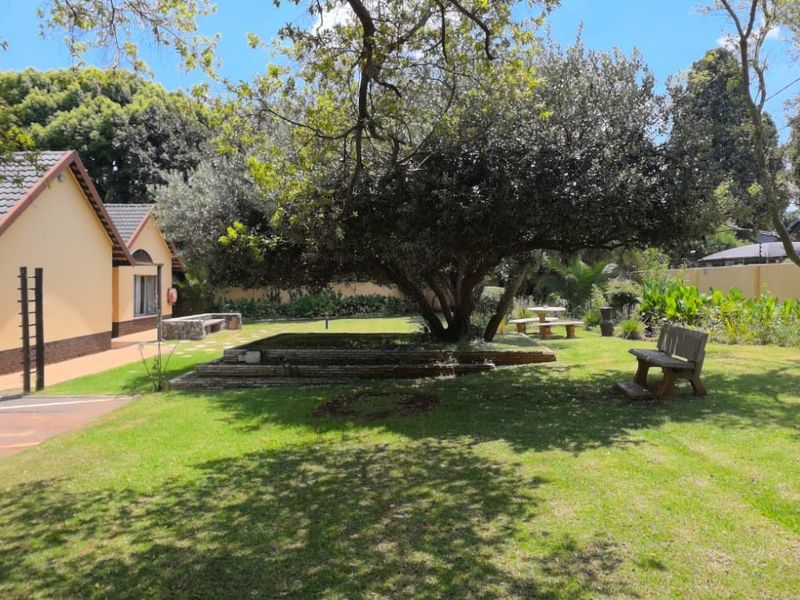 A well-maintained garden area featuring a large mature tree, lawn, raised garden beds, and paved driveway access to the guest house building.