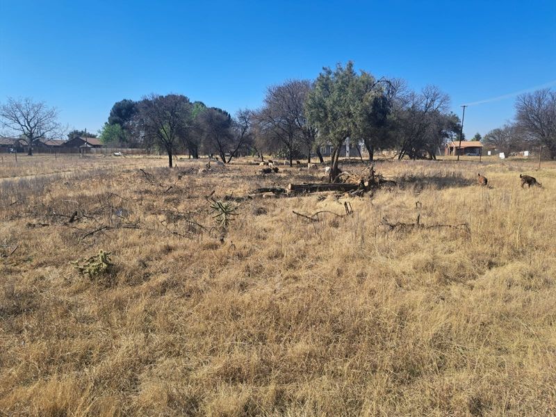 A view of the vacant residential land featuring dry grass, scattered trees, and perimeter fencing.