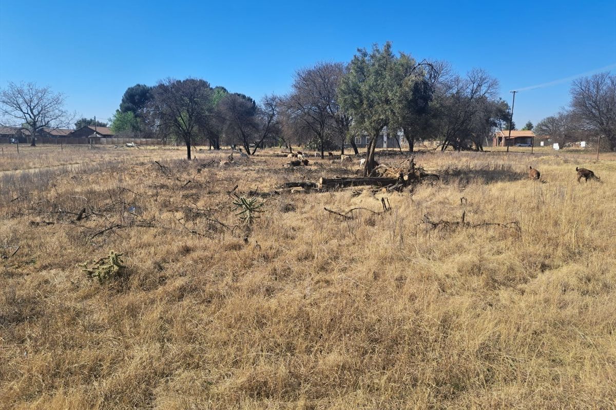 A view of the vacant residential land featuring dry grass, scattered trees, and perimeter fencing.