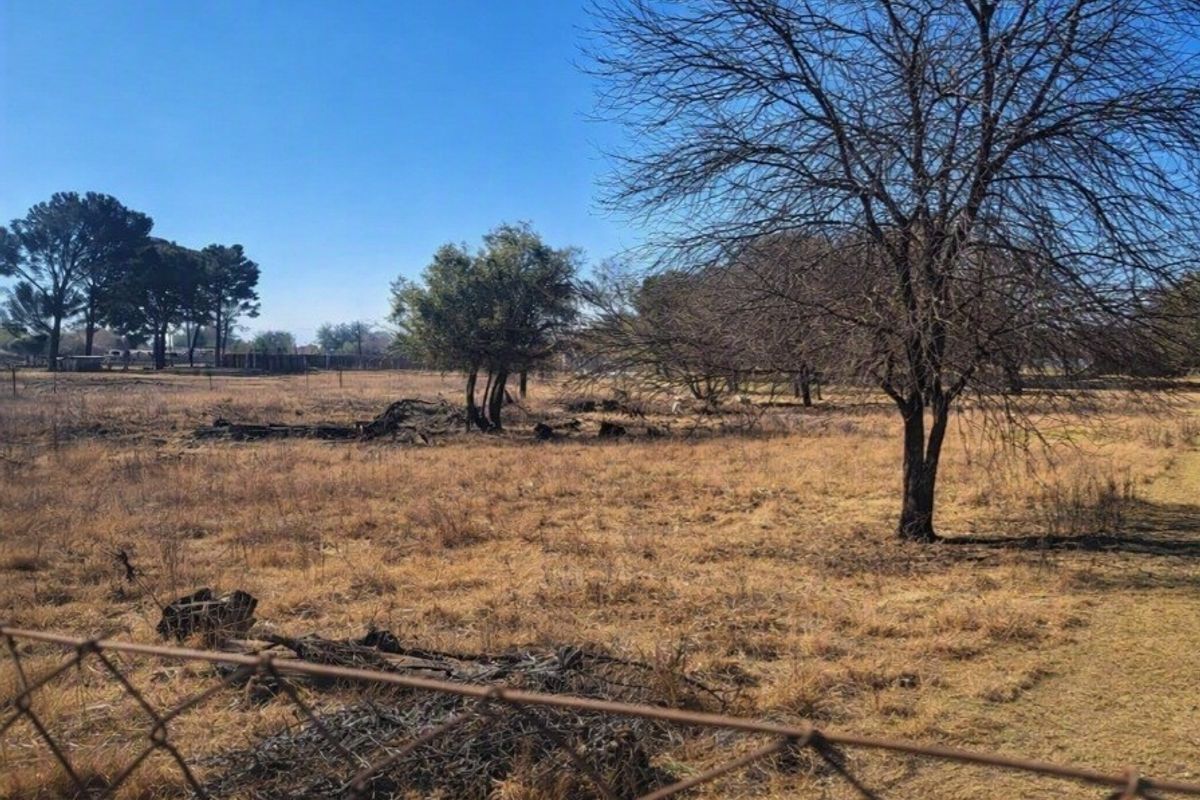 A view of a vacant residential plot featuring dry grass, mature trees, and perimeter wire mesh fencing.