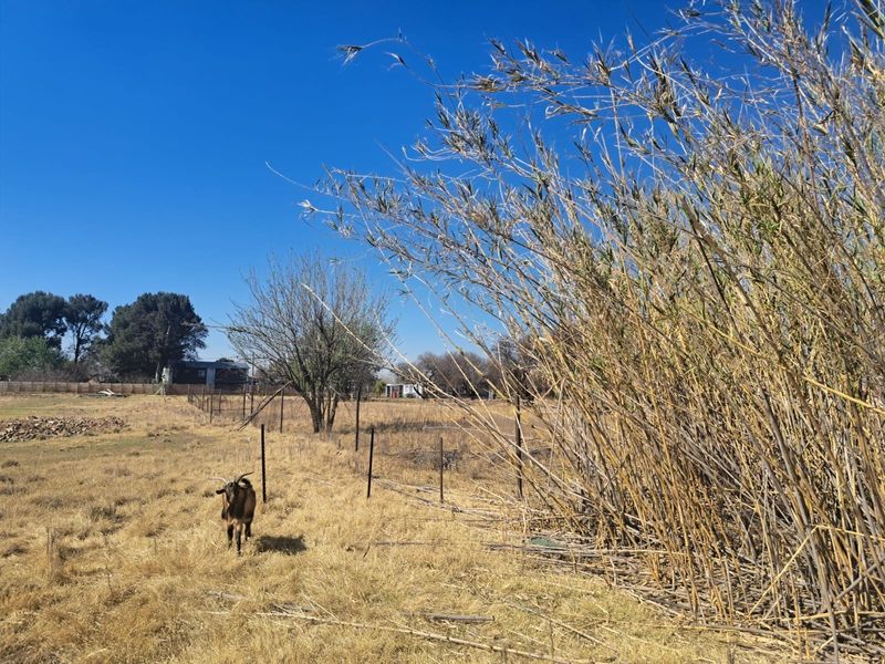 A view of the vacant residential land featuring dry grass, natural vegetation, and perimeter wire fencing.