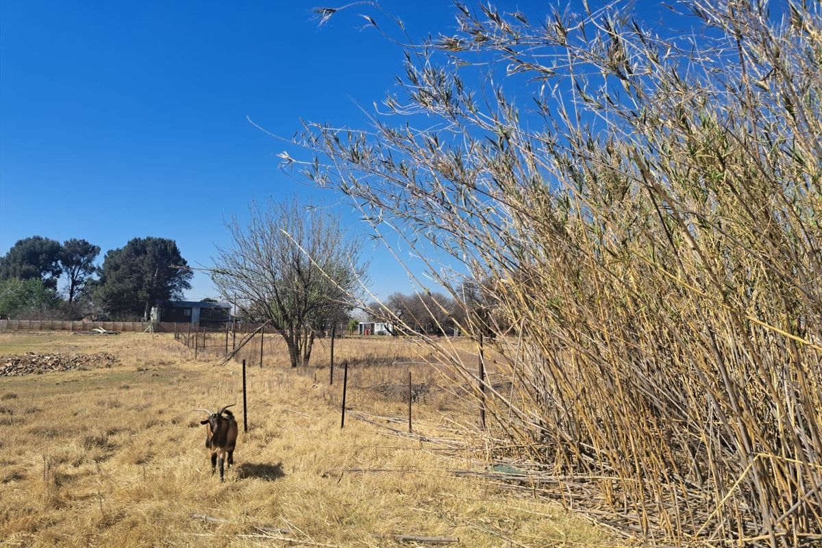 A view of the vacant residential land featuring dry grass, natural vegetation, and perimeter wire fencing.