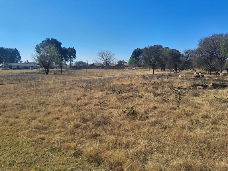 A wide-angle view of a large, undeveloped residential plot featuring dry grass, scattered trees, and perimeter fencing.