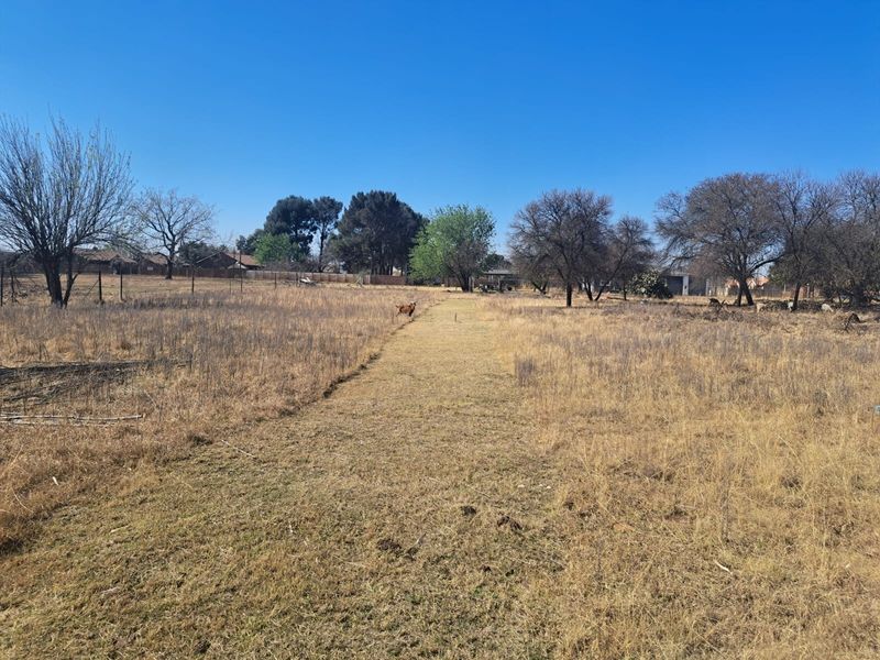 A view of a vacant residential plot featuring dry grass, mature trees, and perimeter wire fencing under a clear blue sky.