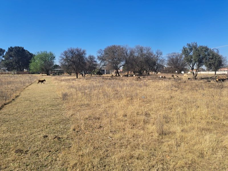 A wide-angle view of a vacant residential plot featuring dry grass and mature trees under a clear blue sky.