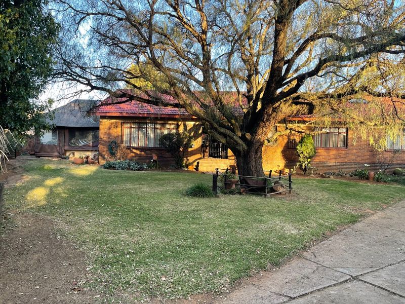 Front view of a single-story brick house featuring a tiled roof, security bars on windows, and a large mature tree in the front garden.