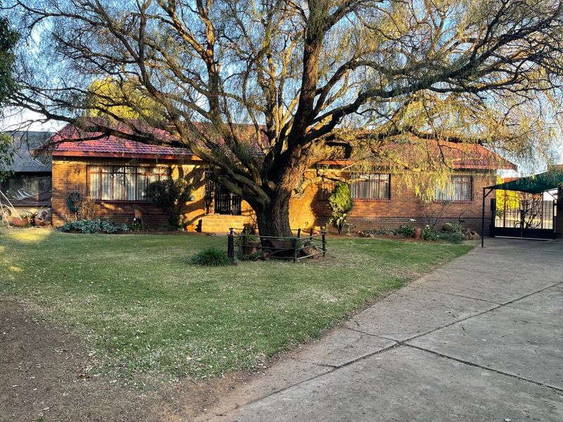 Front view of a single-story brick house featuring a tiled roof, concrete driveway, and a large mature tree in the front garden.