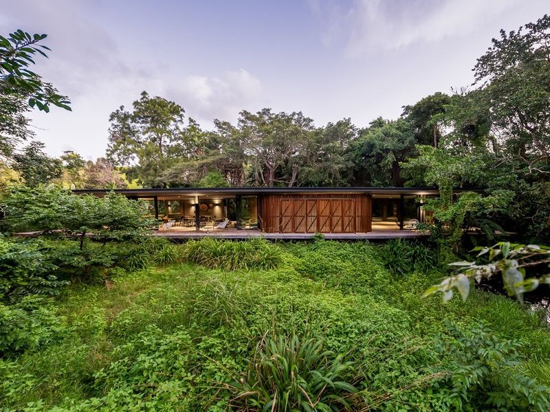 A modern architectural home featuring extensive glass walls and timber screens, seamlessly integrated into a lush, natural garden setting with a spacious covered deck.