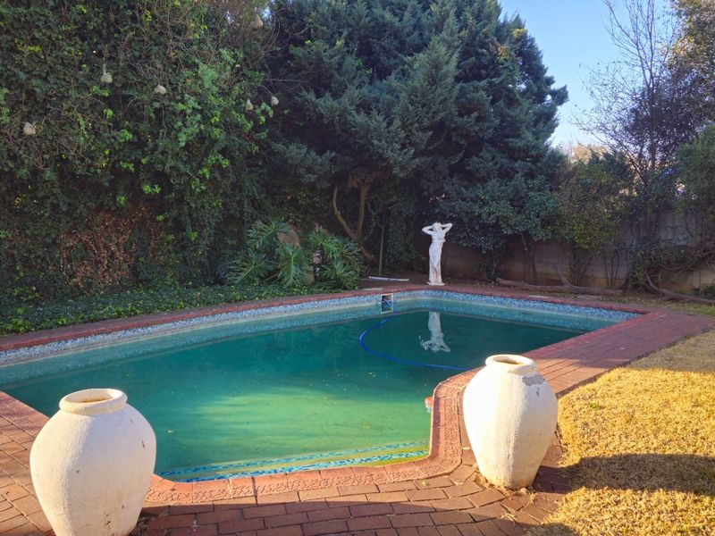 Outdoor swimming pool area featuring brick coping and established garden surroundings, requiring maintenance to improve water clarity and landscaping condition.