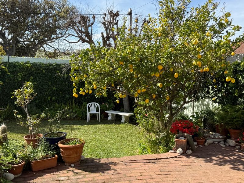 A private garden area featuring a mature lemon tree, established lawn, and brick-paved patio space enclosed by perimeter fencing.