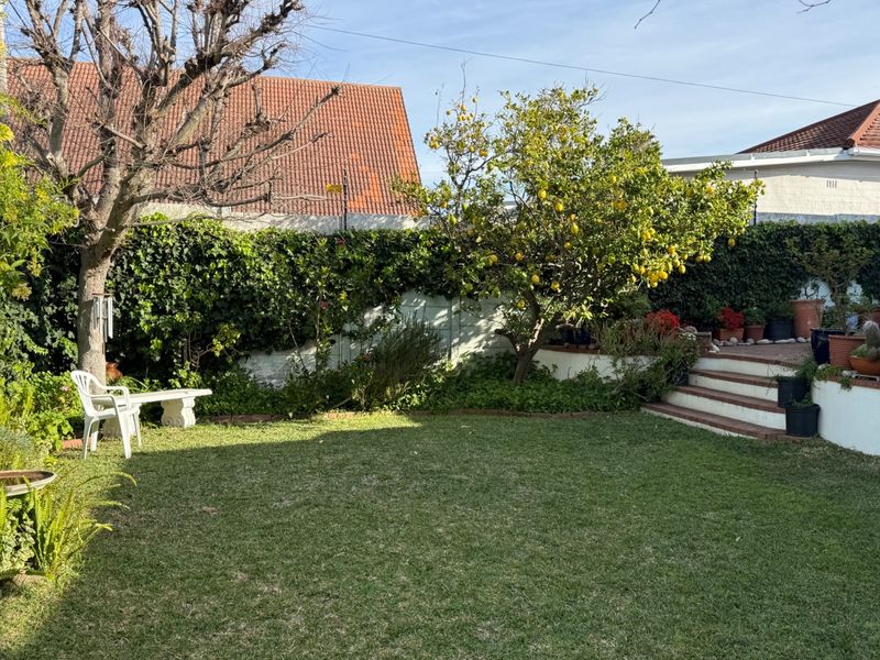 A well-maintained rear garden featuring a manicured lawn, mature lemon tree, brick-stepped terrace, and established perimeter wall with climbing greenery.