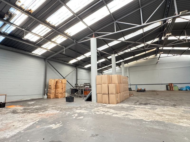 Spacious industrial warehouse unit featuring high ceilings with translucent roof panels, steel support columns, and durable concrete flooring.
