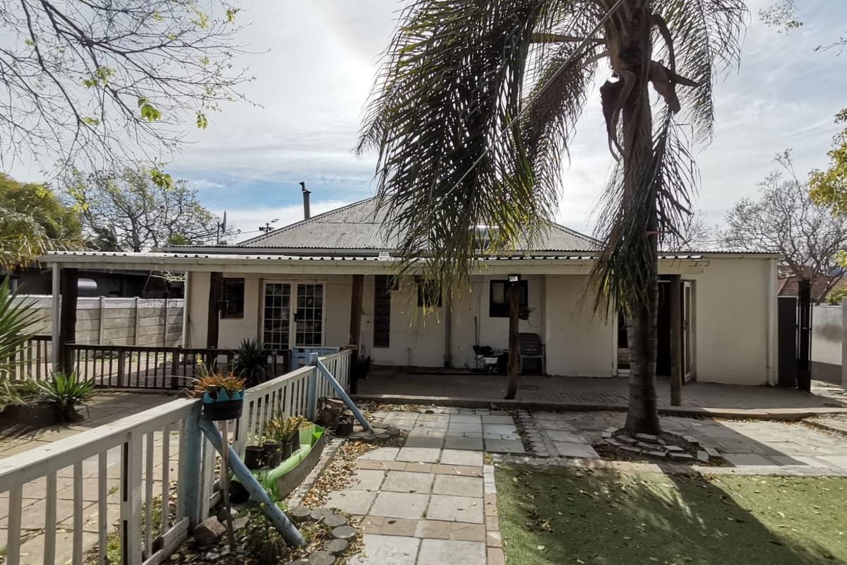 Rear view of the house featuring a paved patio area, timber decking, and a mature palm tree in the garden.