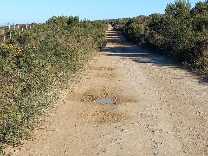 A view of the unpaved access road leading to the property, showing signs of wear including potholes and uneven terrain.