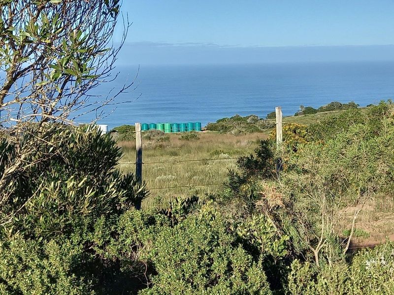 A scenic coastal landscape view featuring natural vegetation and a wire fence boundary overlooking the ocean.