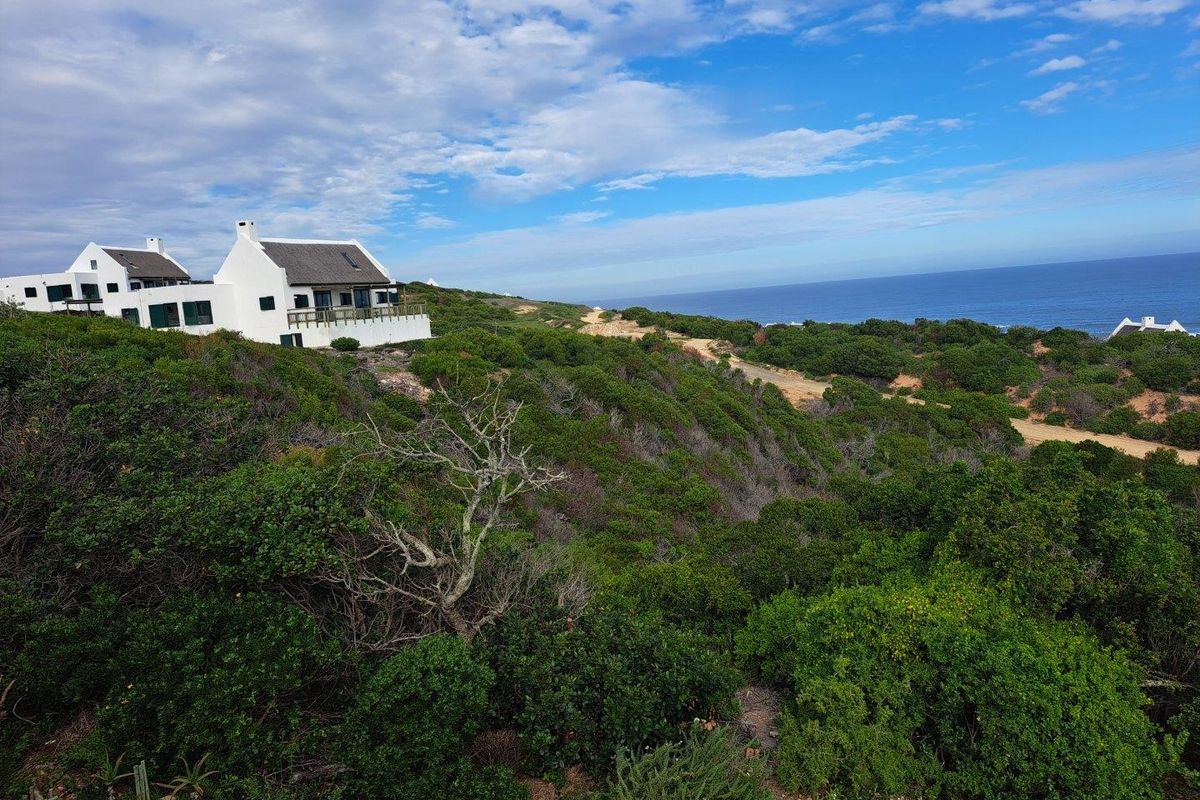 An elevated aerial view of a coastal residential property surrounded by natural fynbos vegetation with ocean views.