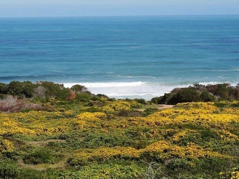 Vacant Land For Sale in Gouritsmond Rural, Gouritsmond - Photo 8