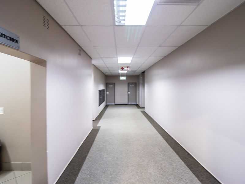 A clean, well-lit commercial hallway featuring neutral walls, carpeted flooring, and a suspended ceiling with recessed lighting.