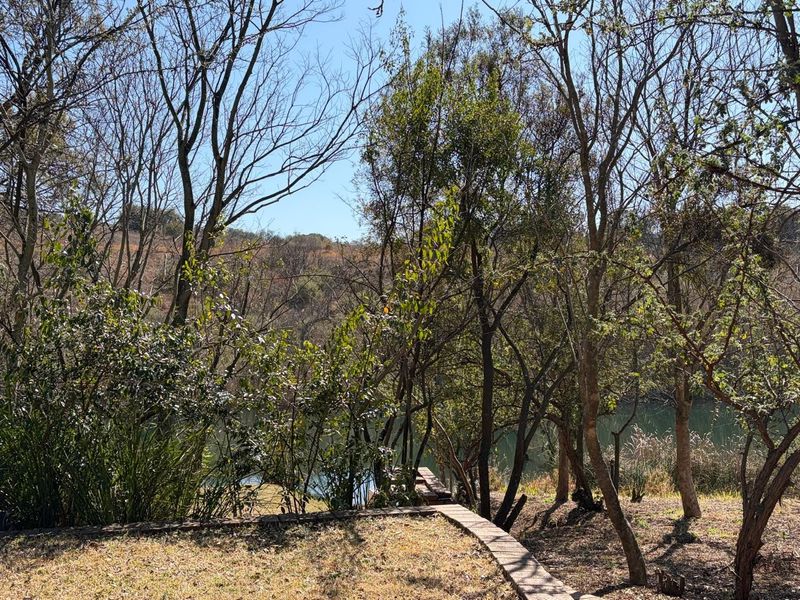 A scenic view of a natural water body surrounded by mature trees and vegetation, featuring a brick pathway leading towards the water.