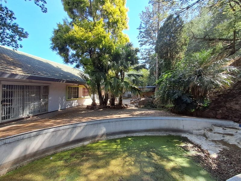 Rear garden area featuring a large swimming pool requiring maintenance, paved patio space, and mature trees set against a natural rock backdrop.