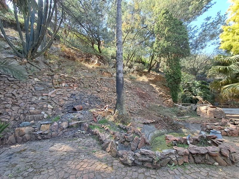 A sloped garden area featuring stone retaining walls, a stone-paved patio, and a neglected stone water feature requiring landscaping and maintenance.