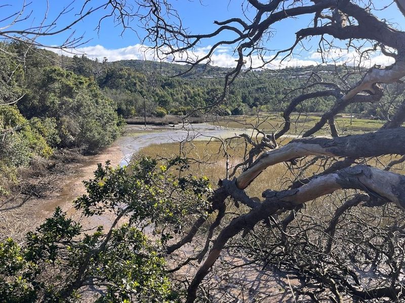 A scenic view of the natural landscape, featuring marshland, native vegetation, and distant hills under a clear blue sky.