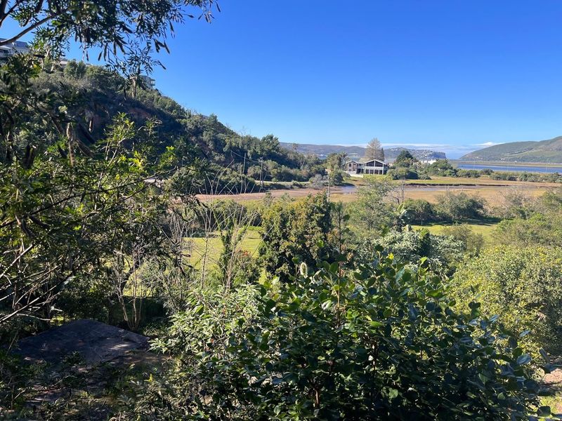 A scenic elevated view overlooking a lush green landscape, wetlands, and distant hills under a clear blue sky.