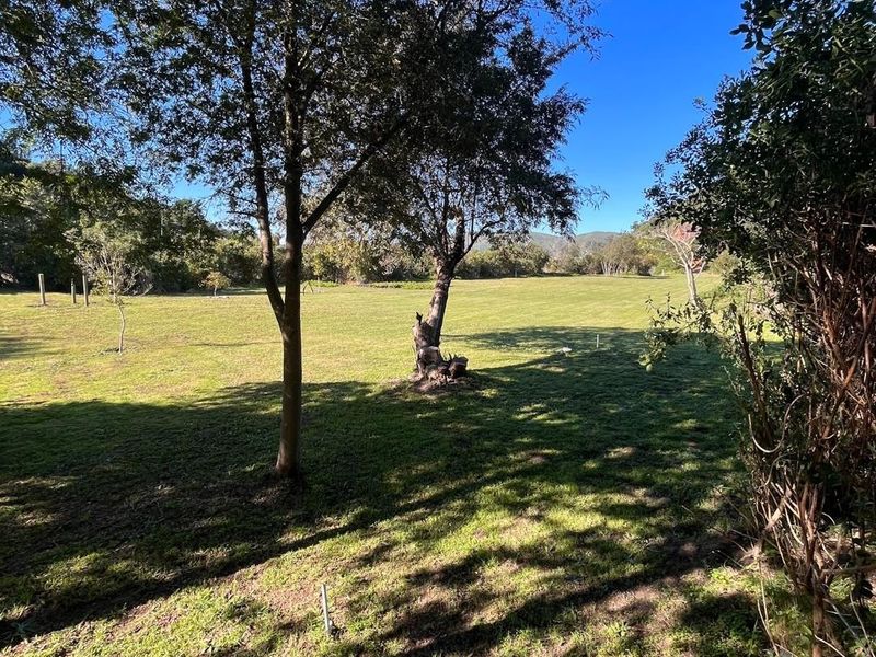 A spacious, well-maintained residential garden area featuring mature trees and expansive lawn space, offering a peaceful outdoor setting.