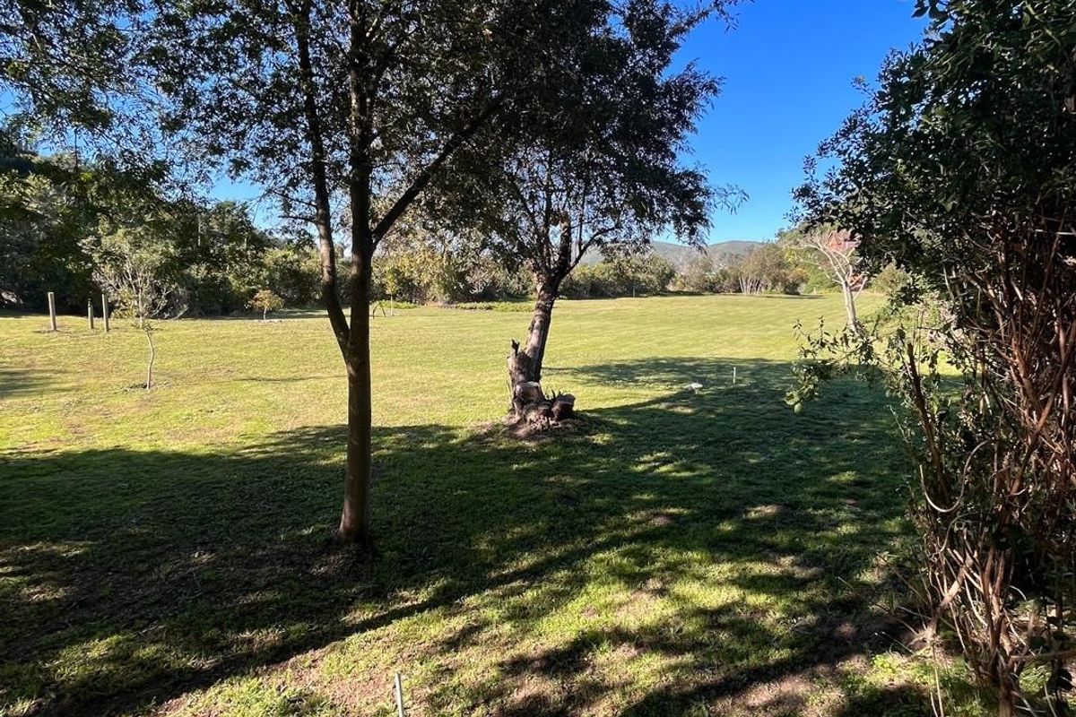A spacious, well-maintained residential garden area featuring mature trees and expansive lawn space, offering a peaceful outdoor setting.