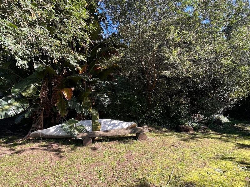 A view of a private garden area featuring established trees and a grassy lawn, providing a natural and secluded outdoor space.