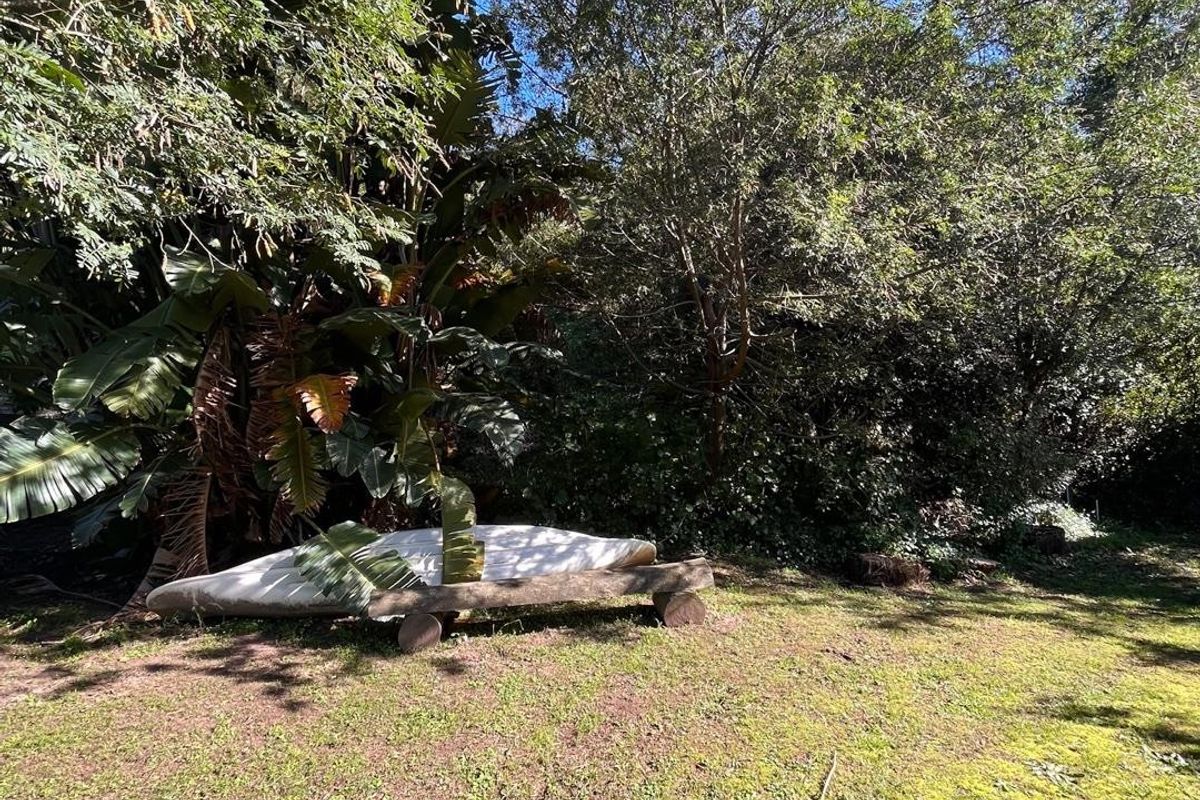 A view of a private garden area featuring established trees and a grassy lawn, providing a natural and secluded outdoor space.