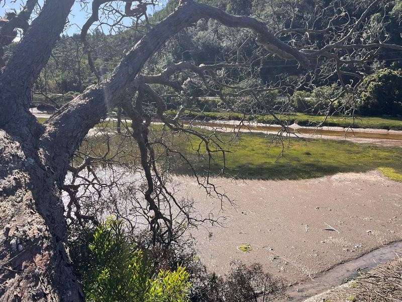 A scenic view of the natural wetland landscape and surrounding vegetation, highlighting the property's tranquil outdoor setting.