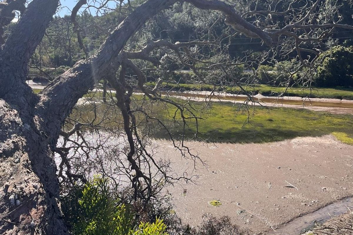 A scenic view of the natural wetland landscape and surrounding vegetation, highlighting the property's tranquil outdoor setting.