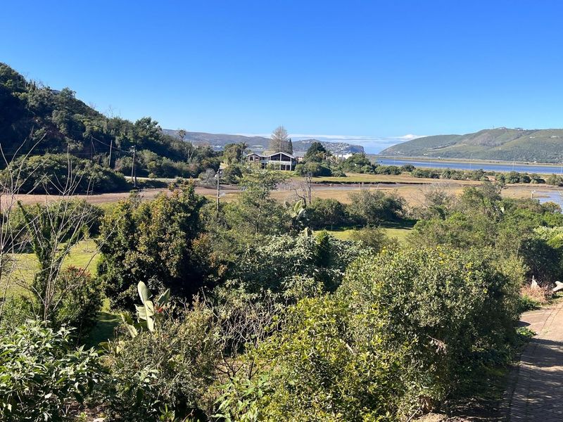 A scenic elevated view overlooking the natural estuary, surrounding hills, and lush coastal vegetation.