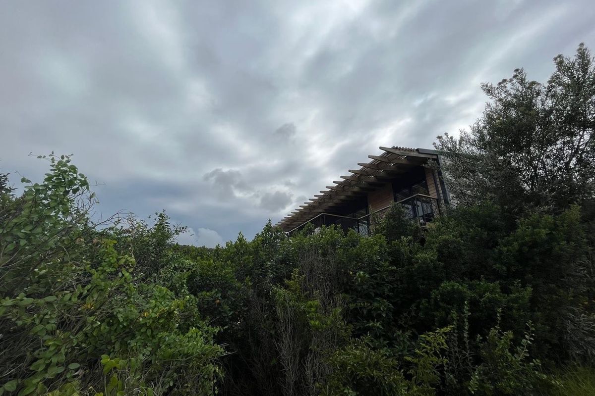 A view of the rear elevation of the house featuring a timber pergola and balcony, partially obscured by dense surrounding vegetation.