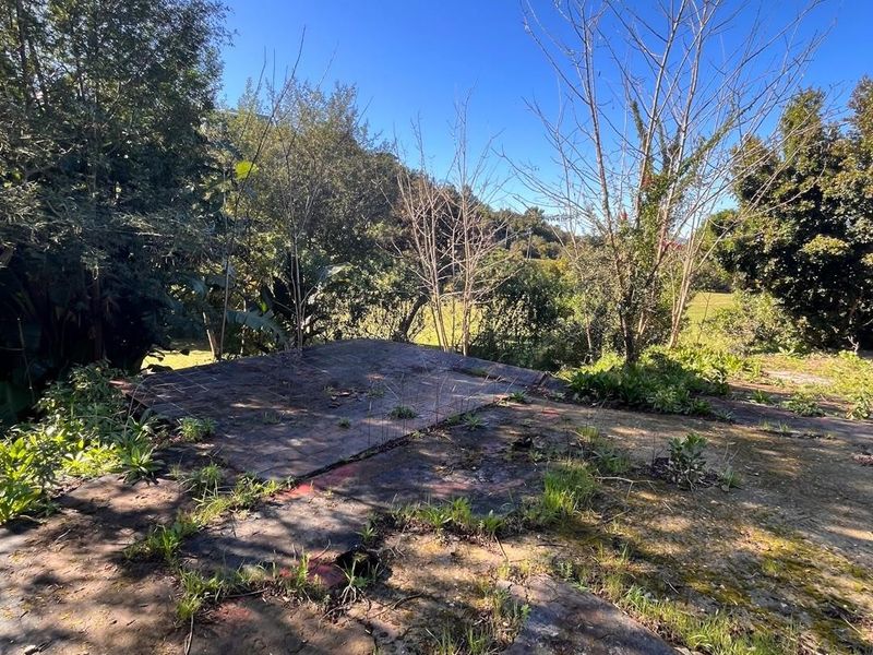 A vacant residential plot featuring an old, weathered concrete slab foundation surrounded by overgrown vegetation and mature trees.