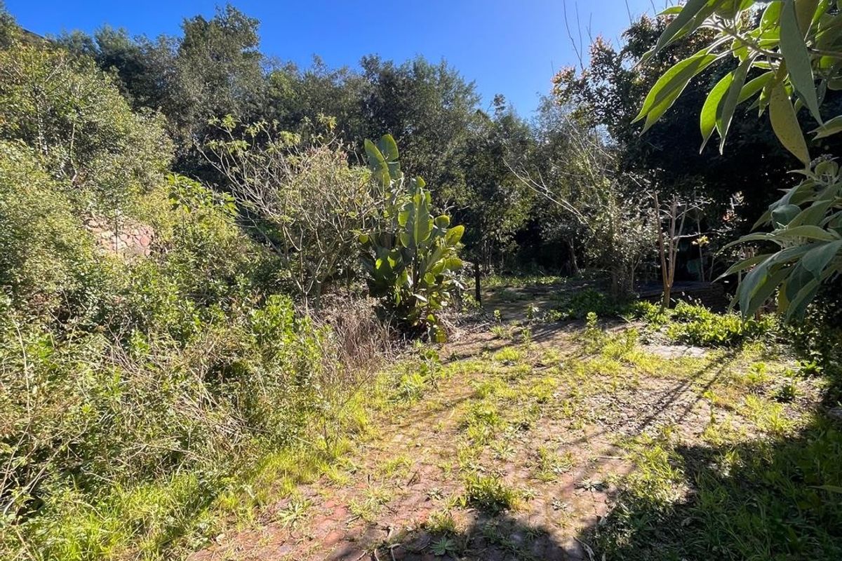 A view of a residential garden area featuring overgrown vegetation and existing brick paving, offering potential for landscaping and outdoor development.