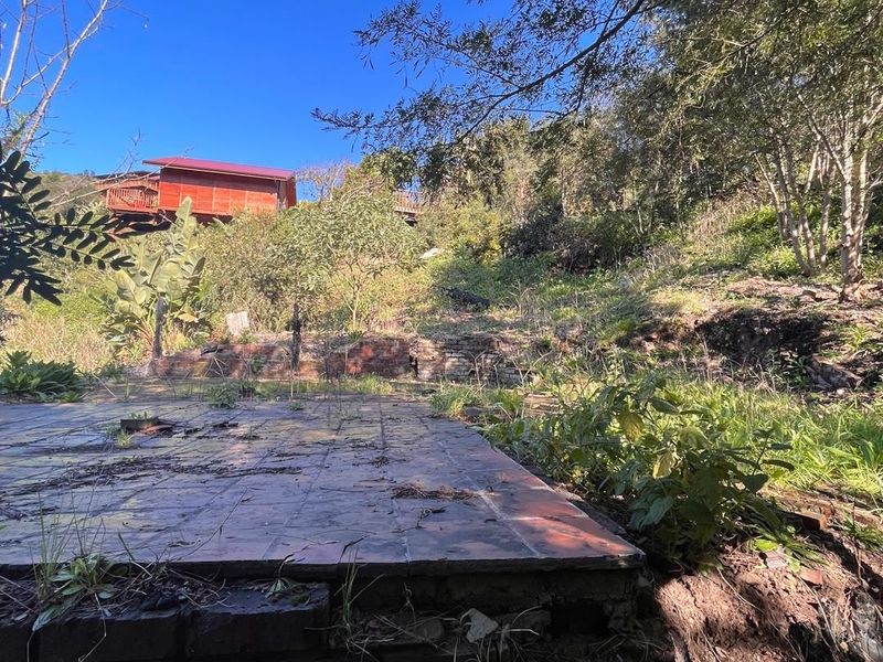 A sloped residential plot featuring a weathered brick retaining wall and a tiled patio base, surrounded by mature trees and natural vegetation.