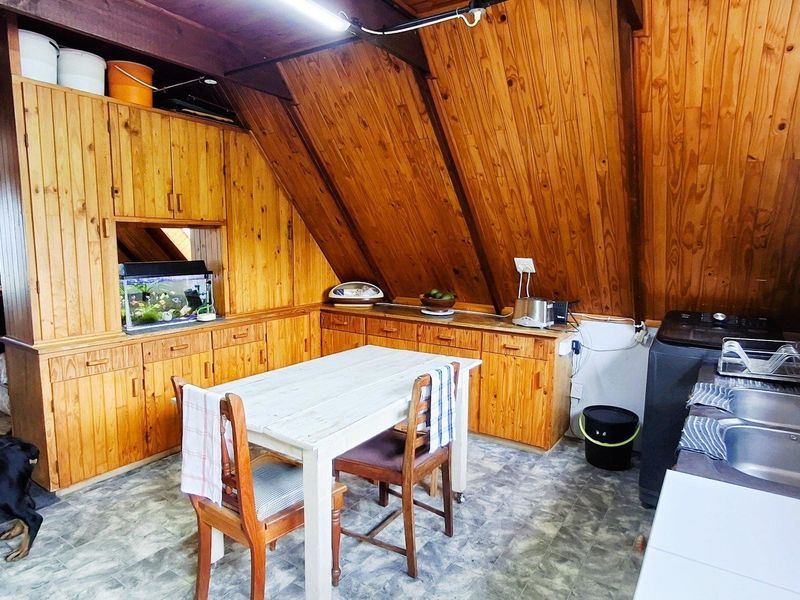 Kitchen area featuring extensive timber wall paneling, built-in timber cabinetry, and a double bowl stainless steel sink under a sloped ceiling.