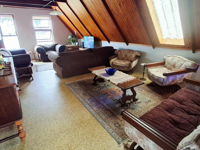 Spacious living area featuring a distinctive exposed timber raked ceiling, skylight, and large windows providing natural light.