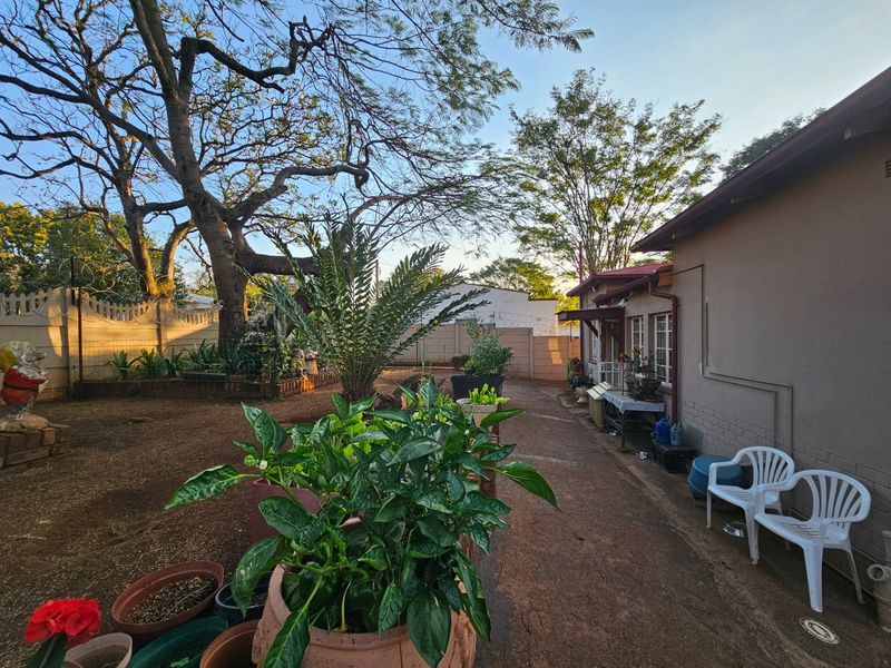 A rear garden area featuring a concrete pathway, established trees, and a perimeter wall with security fencing.