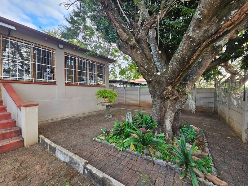 Rear exterior area featuring a paved patio, mature tree, and perimeter walling with security bars on the windows.
