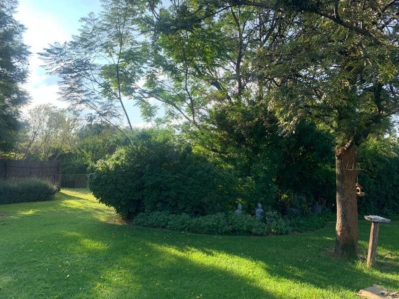 A well-maintained garden area featuring mature trees, lush green lawn, and established landscaping, providing a private and serene outdoor space.
