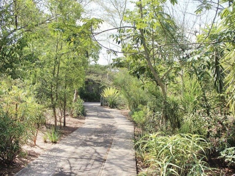 A tranquil garden path lined with mature trees and established landscaping, providing a scenic walkway through the property grounds.